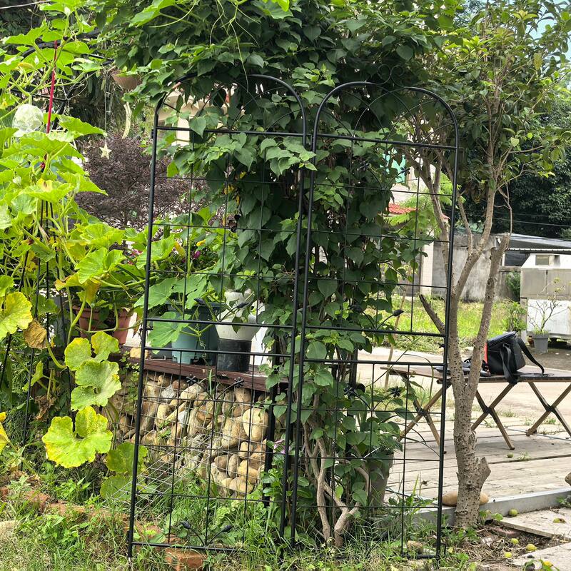 Metal Garden Trellis, 2 Pack Metal Trellis for Climbing Plants, Indoor/Outdoor Plant Trellis, Lawn Garden Fence Decor Screen