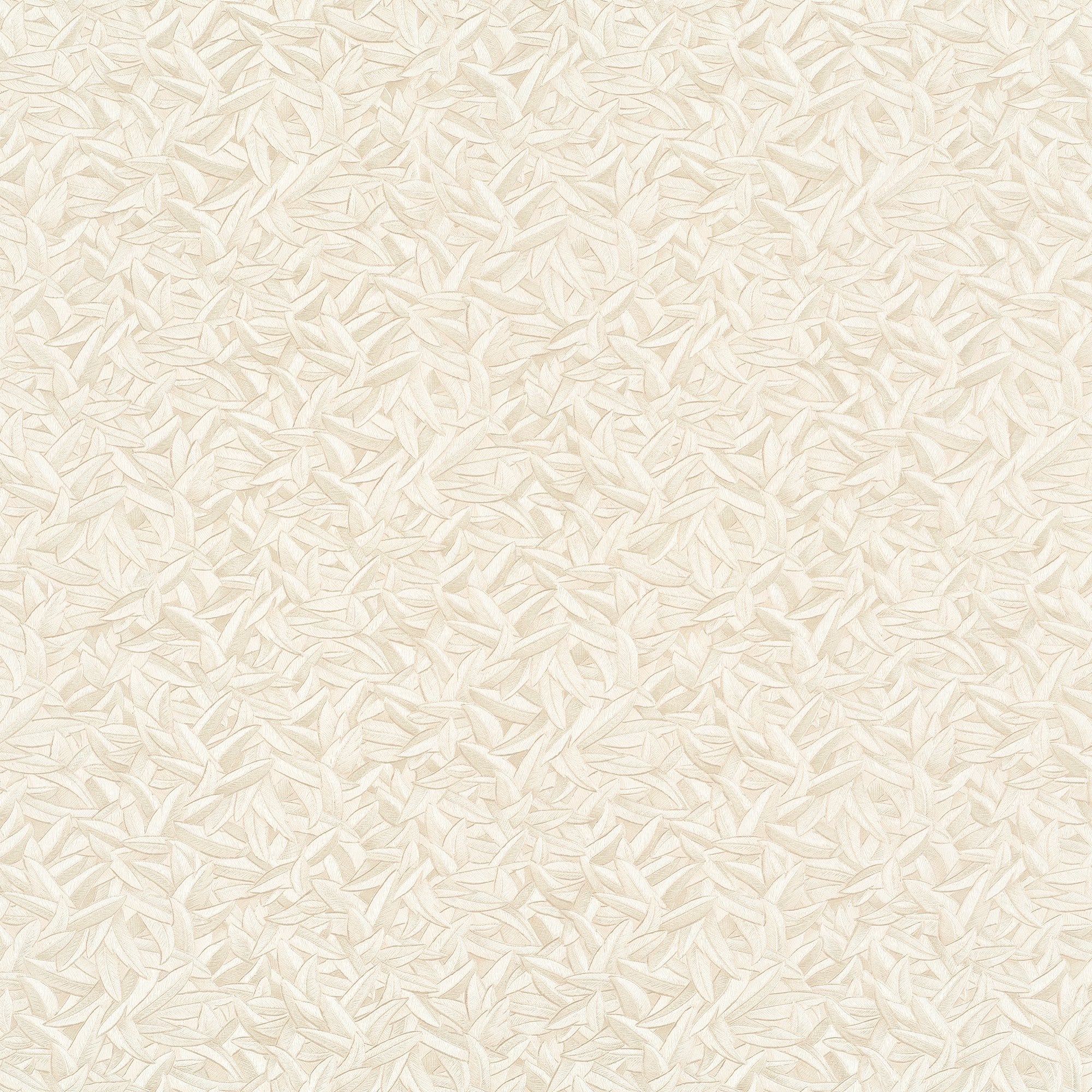 Option Cream