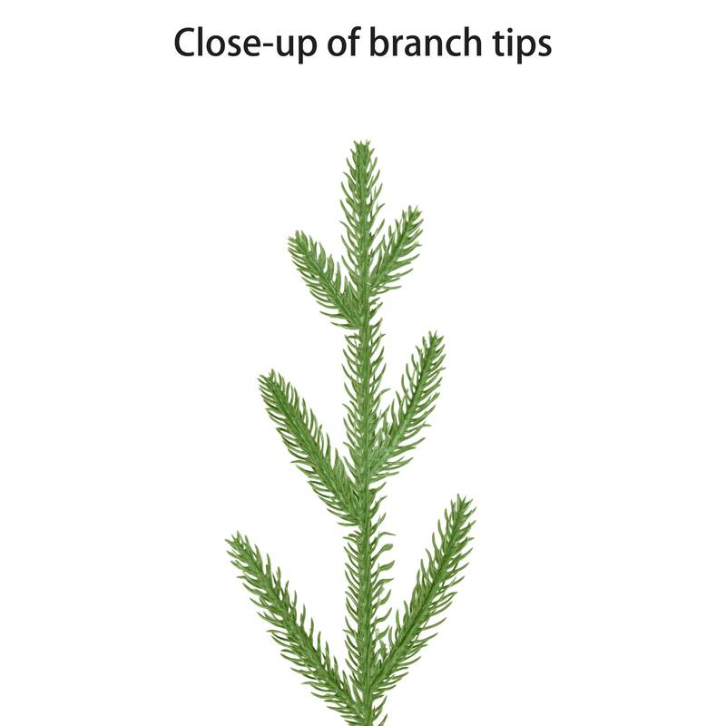 Puleo International 4.5' Pre-Lit Artificial Green Potted Arctic Fir Tree