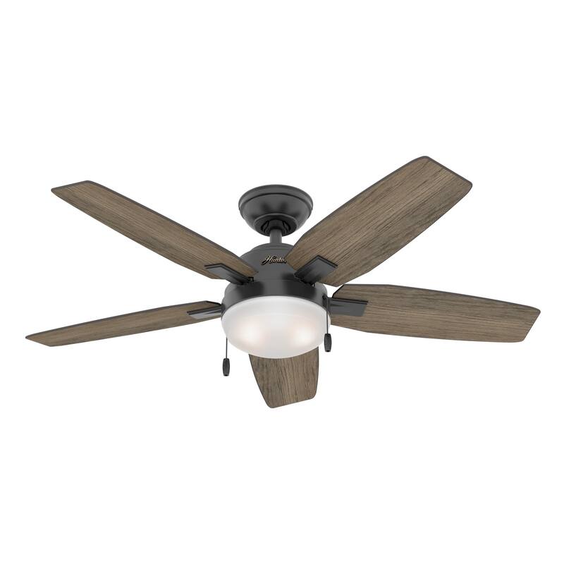Hunter Morgantown Ceiling Fan with LED Light, Pull Chain - Transitional, Contemporary