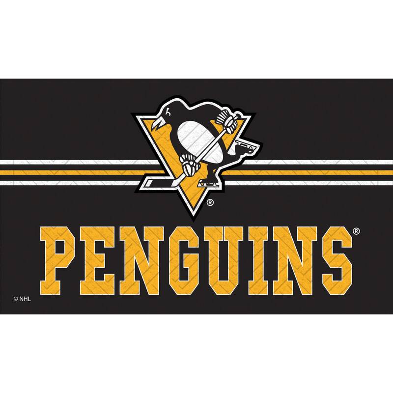 30 in. x 18 in. Embossed Mat, Cross Hatch, Pittsburgh Penguins