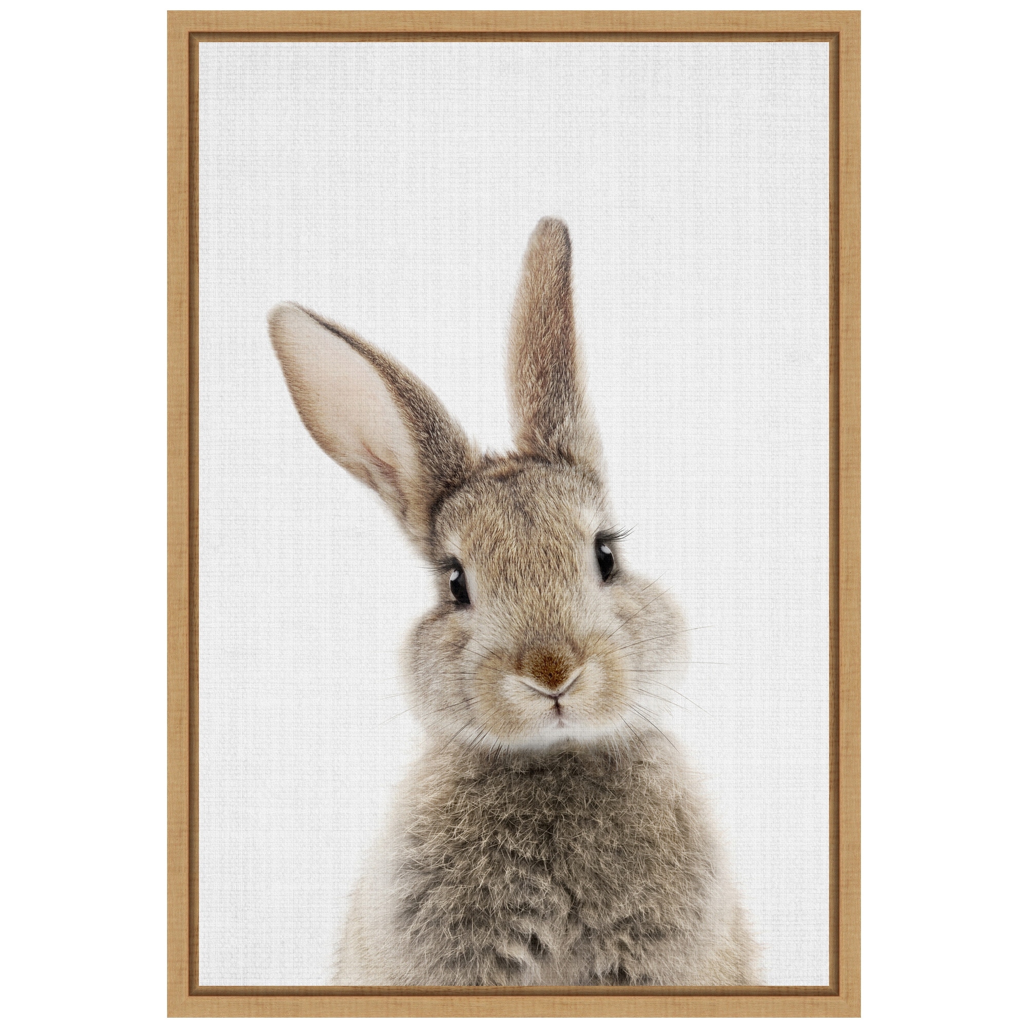Peekaboo Bunny by Lola Peacock Framed Canvas Wall Art - Sylvie Maple