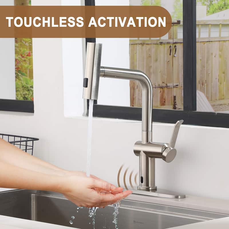 Single Handle Pull Down Sprayer Kitchen Faucet with 3 Functions Spray