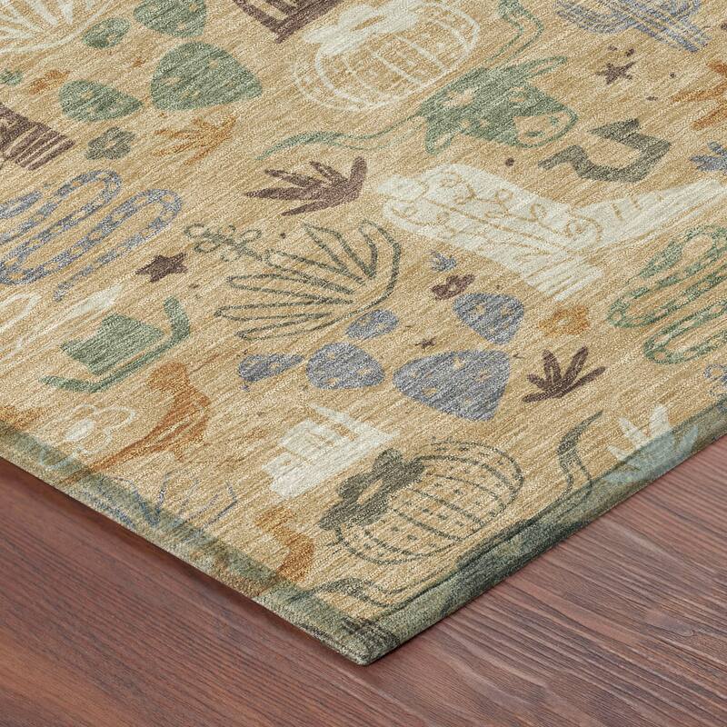 Machine Washable Indoor/ Outdoor Modern Ranch Chantille Rug