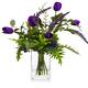 Option Purple