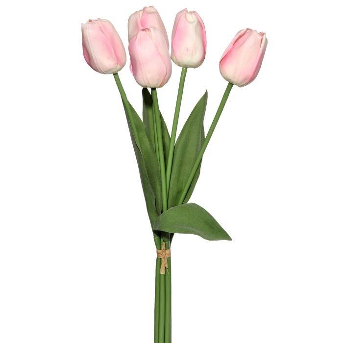 Natural Touch Dutch Tulip Bundle 20"