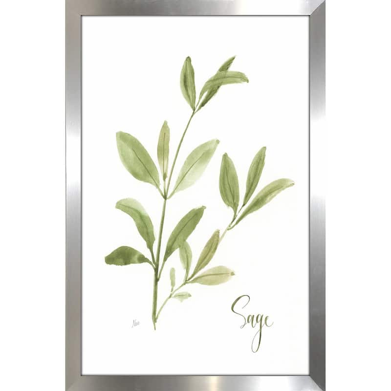 "Herb Sage" by Nan Print on Acrylic