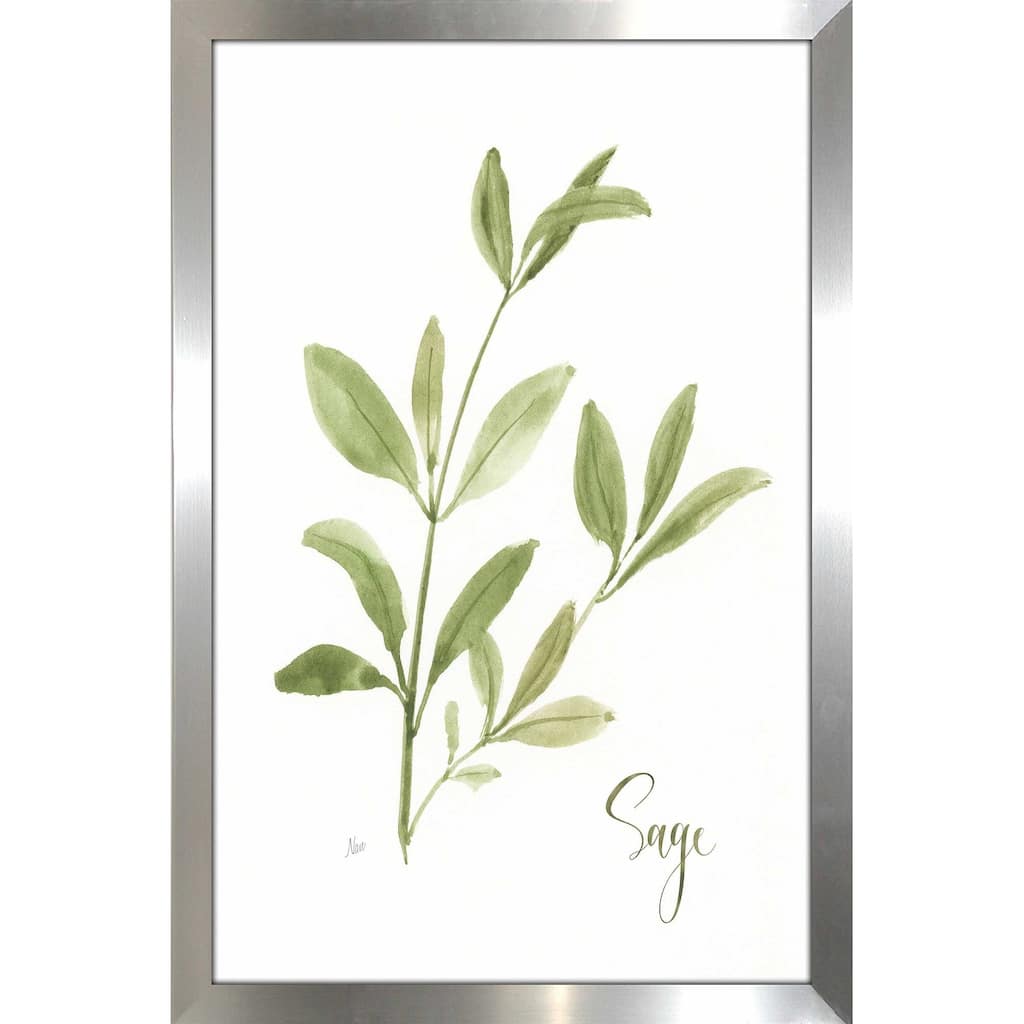 "Herb Sage" by Nan Print on Acrylic
