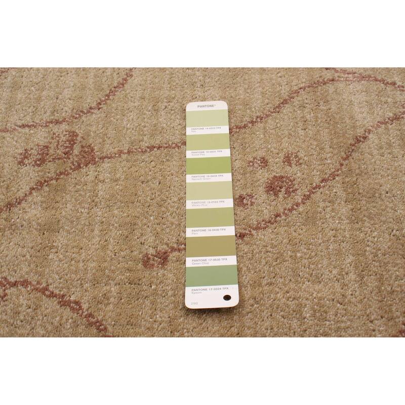 ECARPETGALLERY Machine Woven Kyra Khaki Polypropylene Rug - 5'3 x 7'6