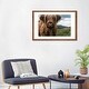preview thumbnail 19 of 18, iCanvas "Portrait Of A Young Scottish Wooly Highland Cattle" by Michael Schauer PFA