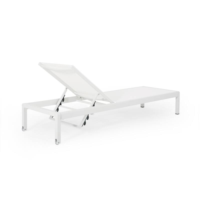 Outdoor 2 Pieces Aluminum Frame Chaise Lounge Chair Set, Adjustable Backrest Chair Patio Reclining Sunbathing Lounger