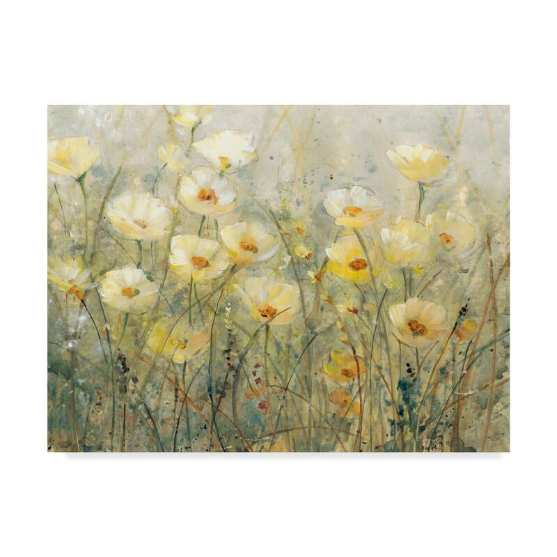 Tim Otoole 'Summer In Bloom I' Canvas Art