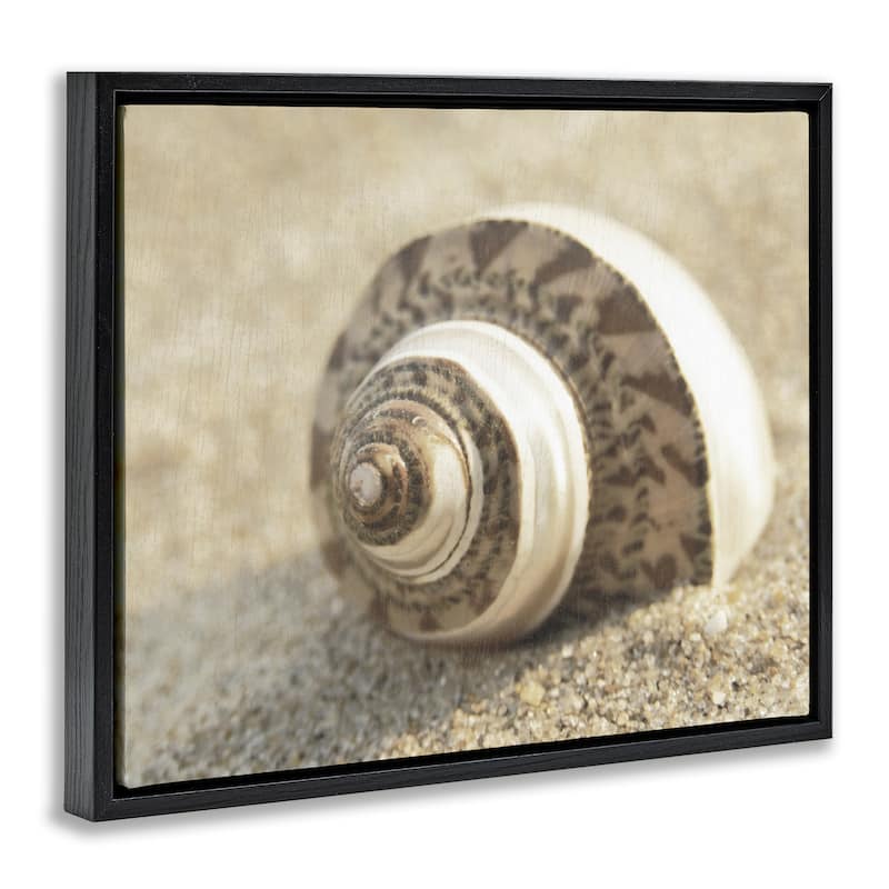 Stupell Neutral Tone Seashell Framed Floater Canvas Wall Art Design By Dora Rotondella
