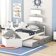 preview thumbnail 1 of 7, Gray Twin Size Pine Wood Boat-Shaped Platform Bed with Trundle and Storage, Sturdy Slats and Rails