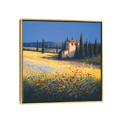iCanvas "Summer Villa" by David Short Framed Canvas Print