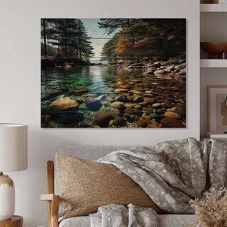 Designart "Forest Acadia National Park II" Landscapes Print on Natural ...