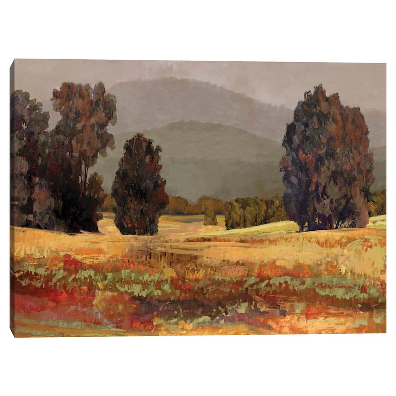 Country Reflection Walk by Mark Chandon Canvas Art Print