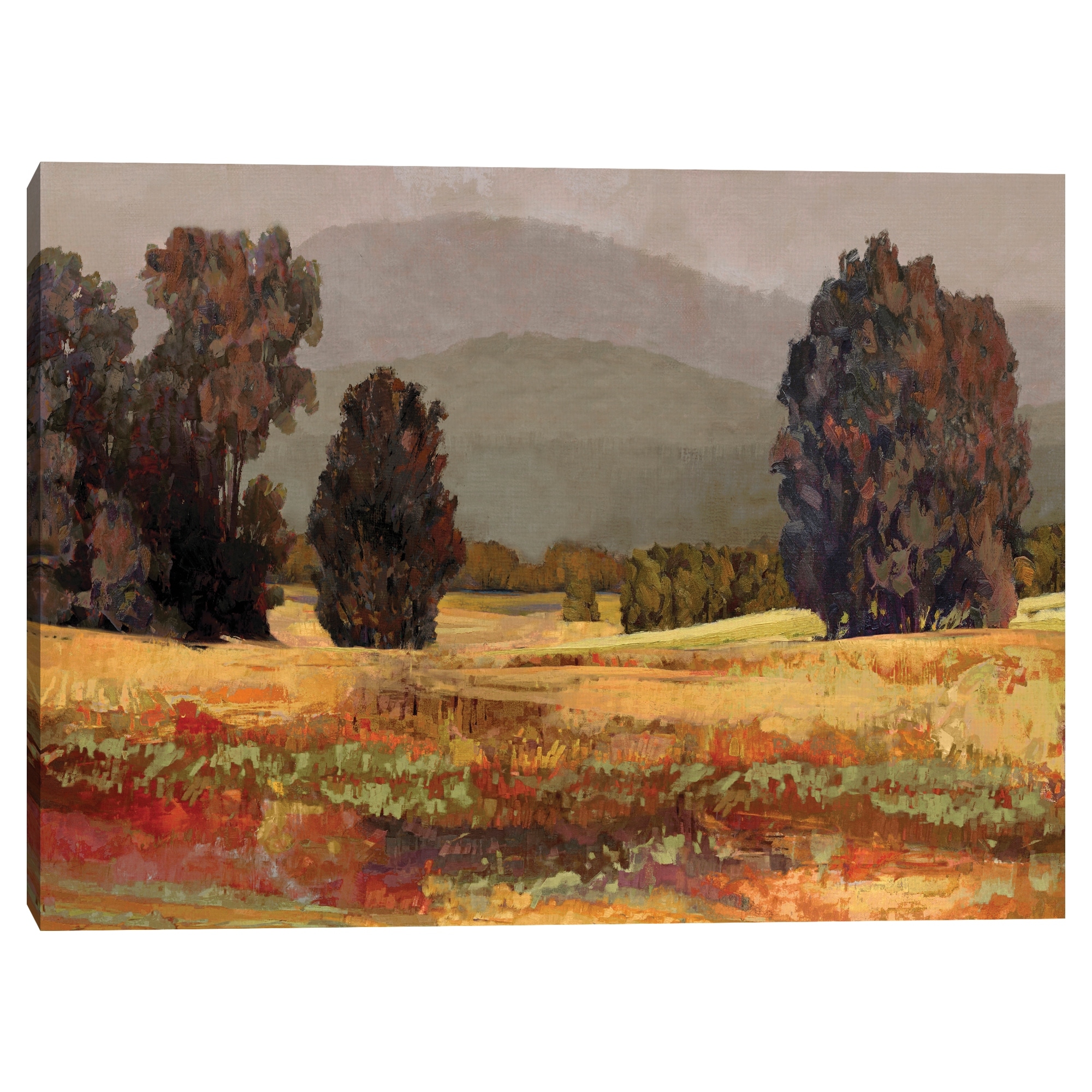 Country Reflection Walk by Mark Chandon Canvas Art Print