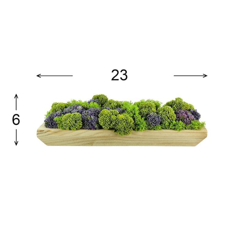 Sedum and Moss Arranged in Wood Planter - Purple, Green