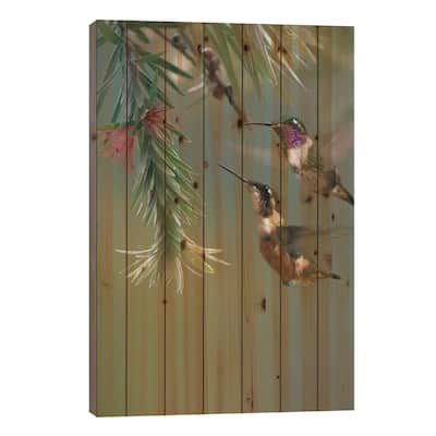 White-Bellied Woodstar Hummingbird Male And Female Feeding On Flower, Costa Rica Print On Wood by Tim Fitzharris - Multi-Color
