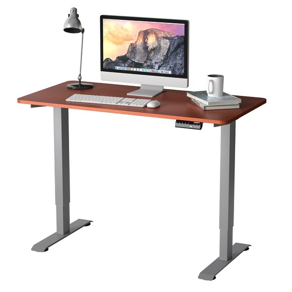 Costway Electric Adjustable Standing Desk Stand up Workstation