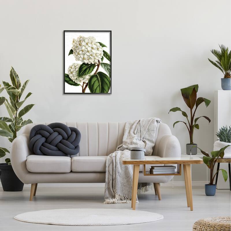 Stupell Begonia Opuliflora Flower Stem Vintage Botanical Study Framed Wall Art, Design by Lettered and Lined - Green