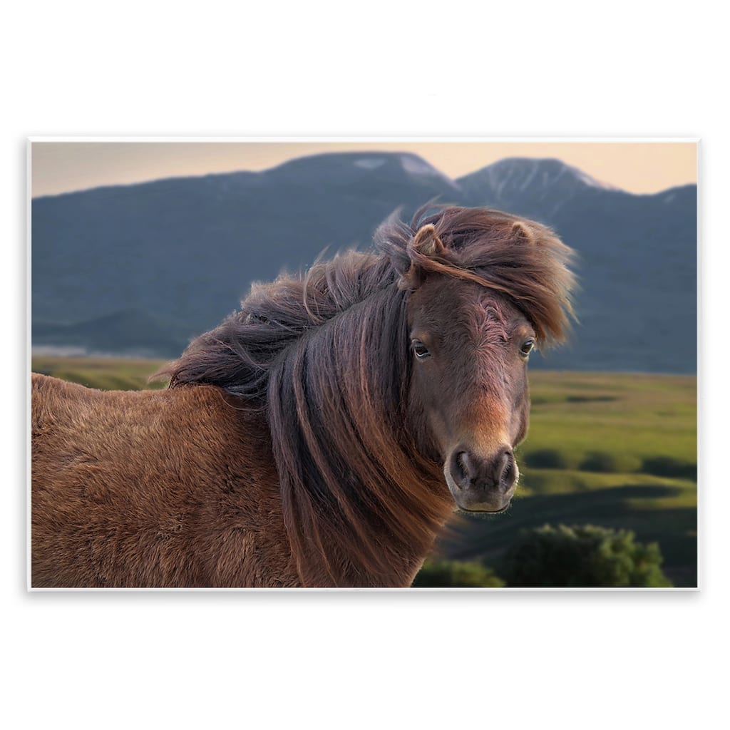 Stupell Windblown Mare in Mountain Valley Wall Plaque Art Design By Steve Toole