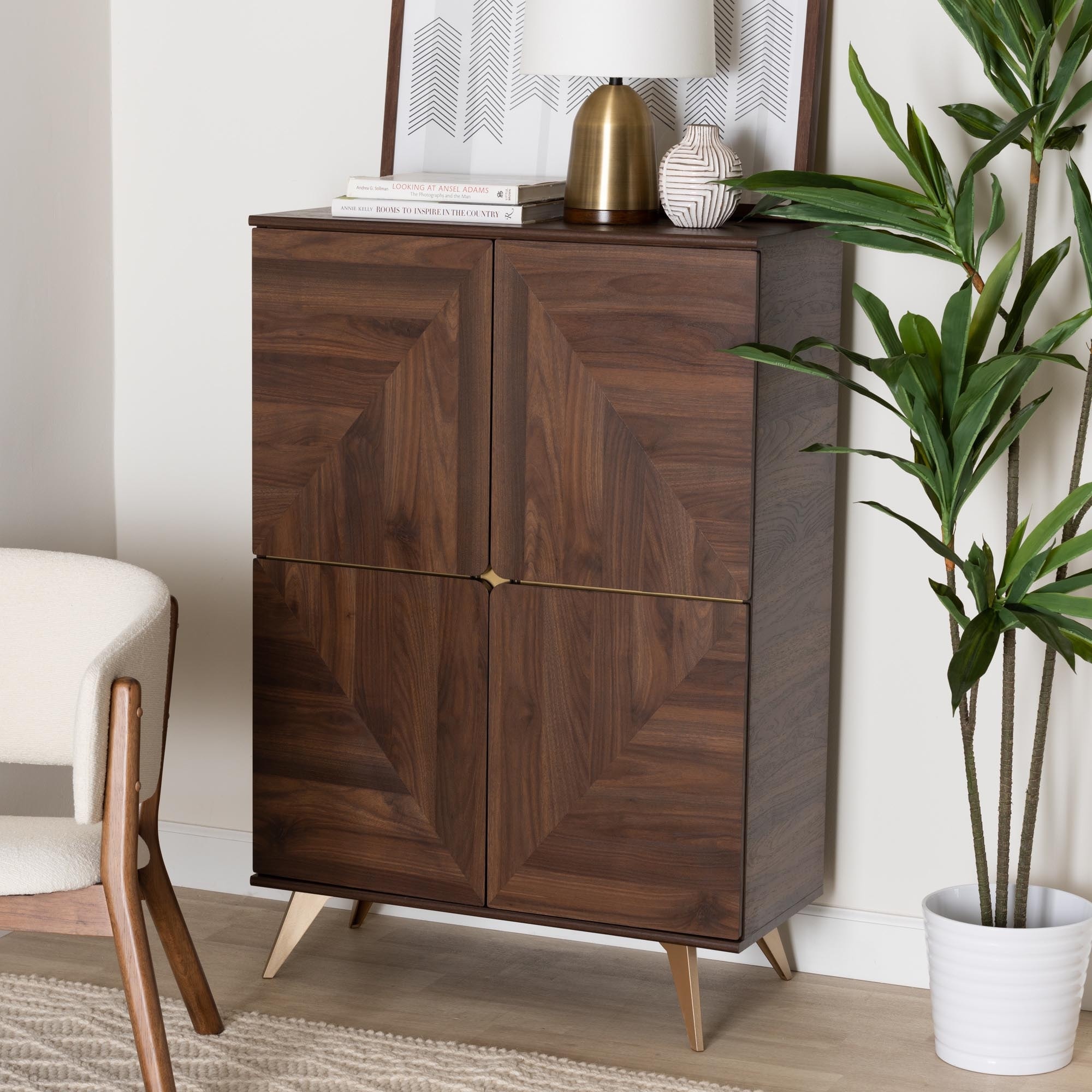 Graceland Mid-Century Modern Transitional Walnut Brown Finished Wood Shoe Cabinet