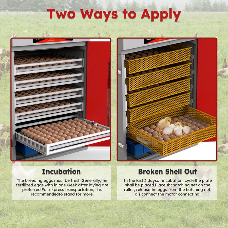 Roomfitters Egg Commercial Incubator, Automatic Digital Hatcher with Turner for Poultry Chicken Duck, Red