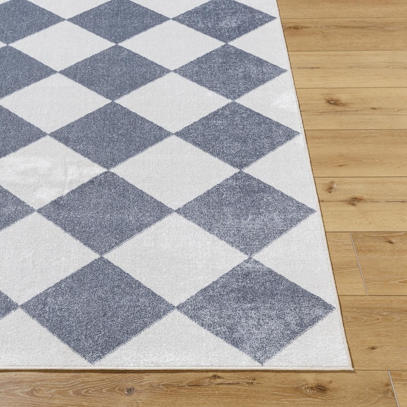 Livabliss Lillian Modern & Contemporary Checkered Indoor/Outdoor Area Rug