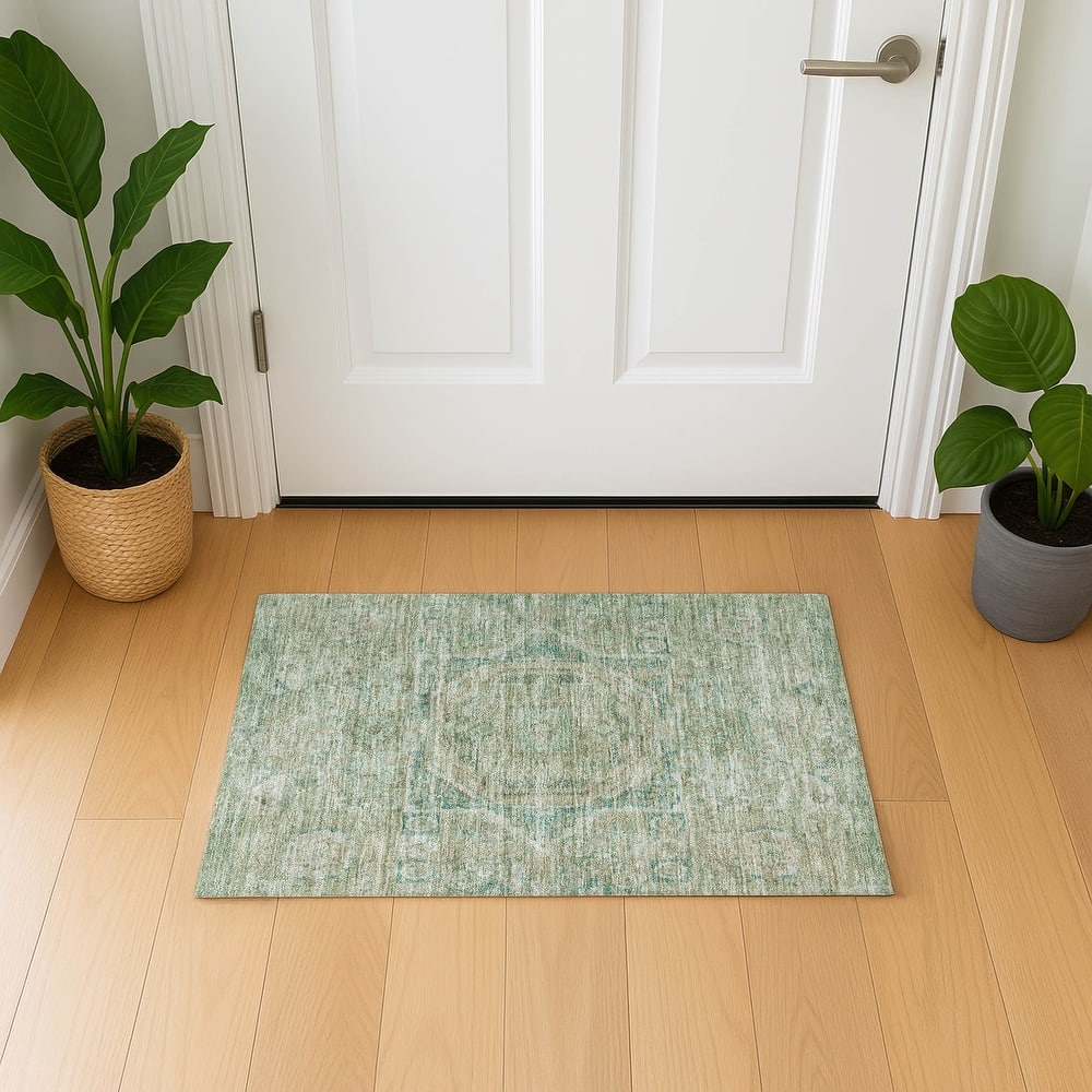 Premium Washable Super Soft Vintage Traditional Mayfield Rug