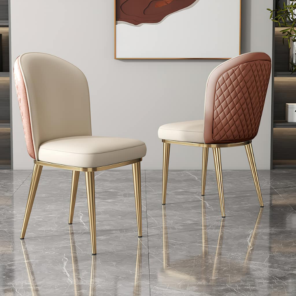 Modern Stainless Steel Leg Back Dining Chairs (Set of 2)