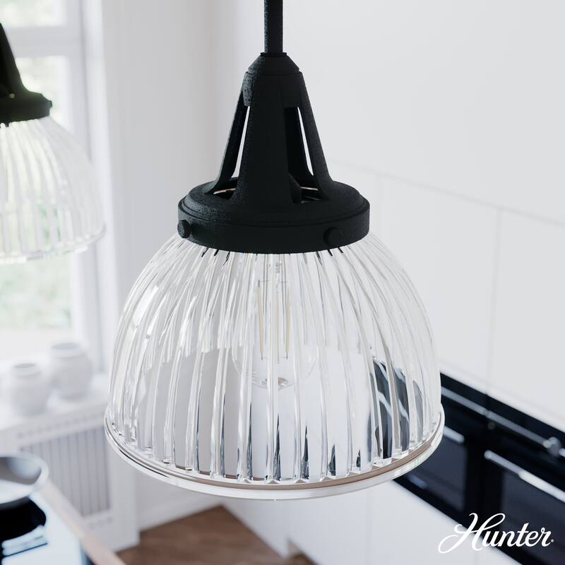 Hunter Cypress Grove 10" 1-Light Pendant - Island, Dining Room - Industrial, Transitional, Contemporary - Natural Iron