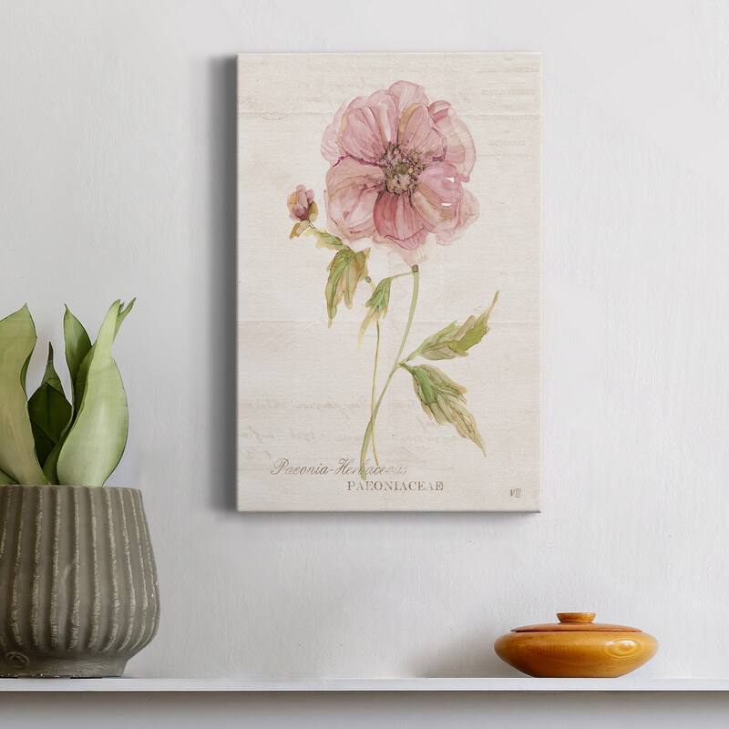 Soft Peony Premium Gallery Wrapped Canvas - Ready to Hang
