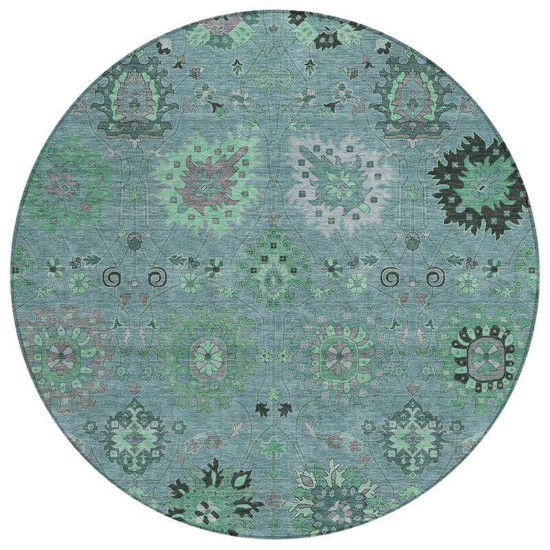 Machine Washable Indoor/ Outdoor Vintage Traditional Chantille Rug