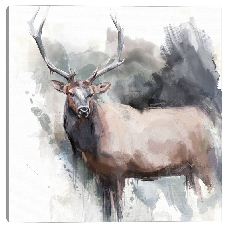 Elk Portrait by Studio Arts Canvas Art Print
