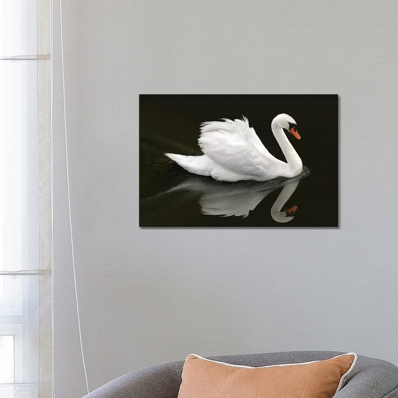 iCanvas "Swan" by Ben Heine Canvas Print - 18x26x1.5