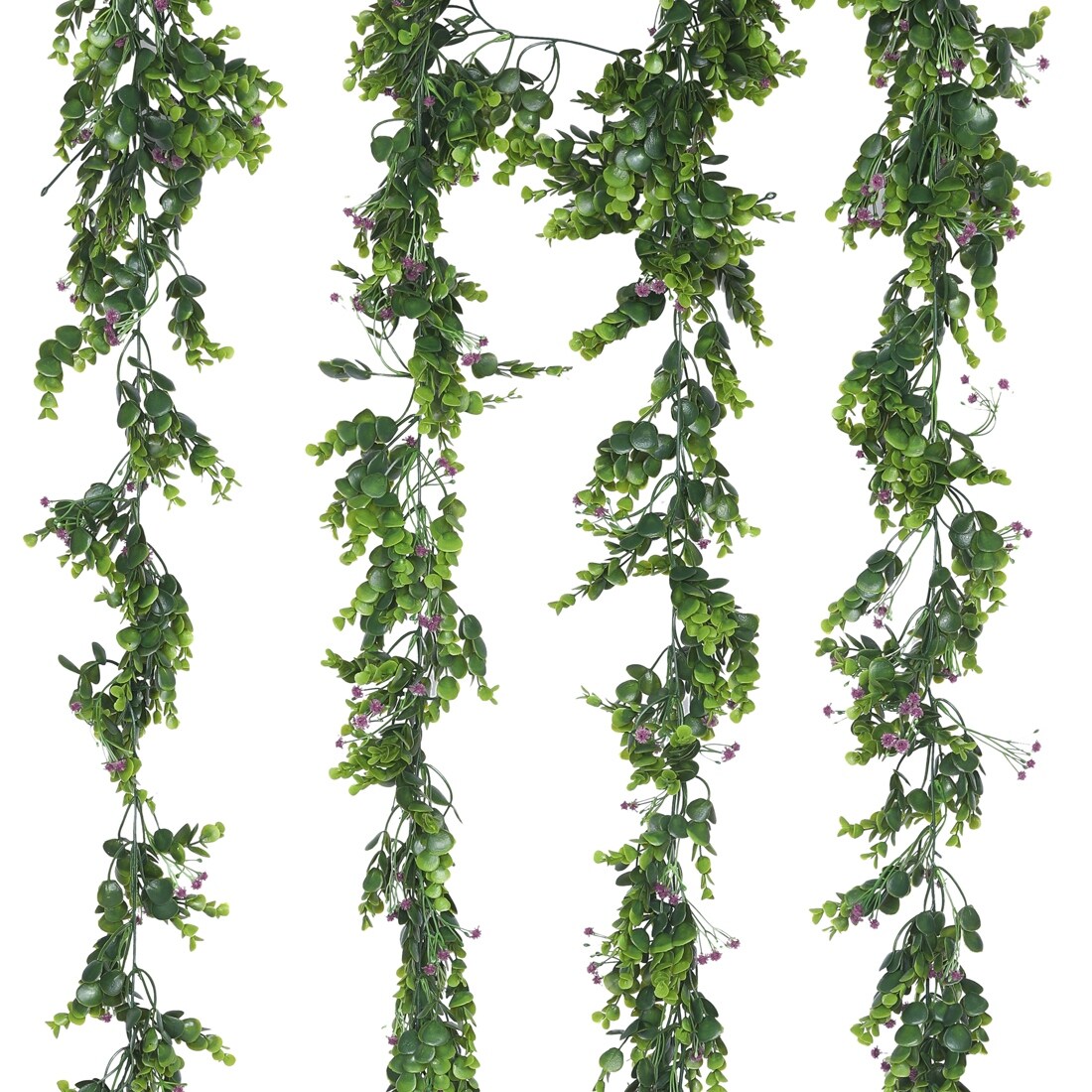 indoor pea plant More Scent main image 1