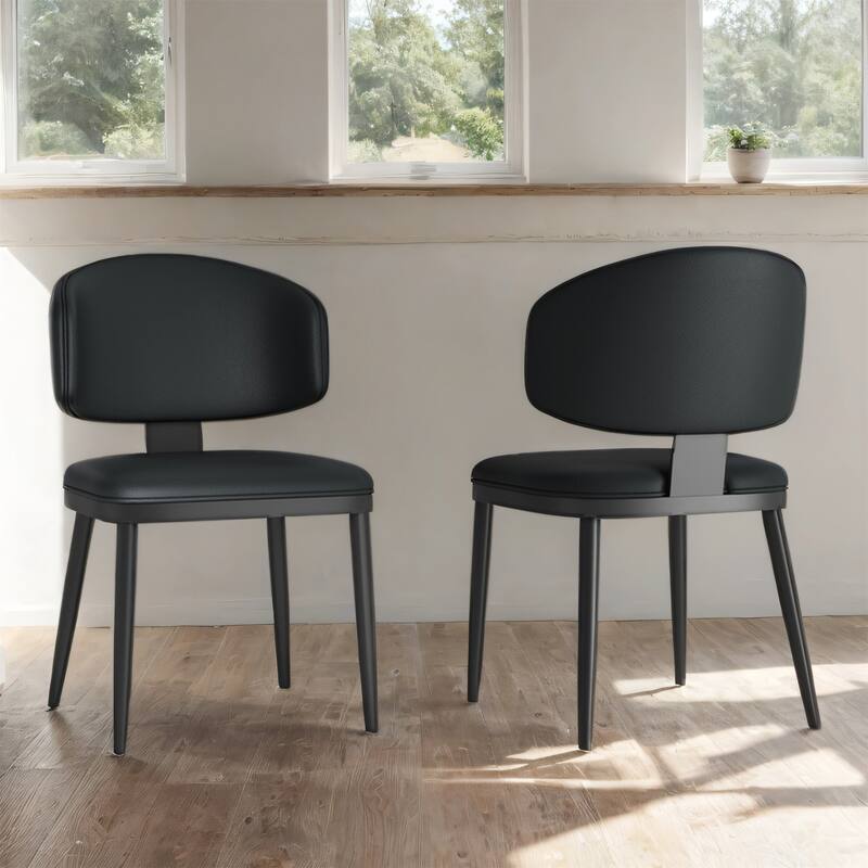 Ergonomic Dining Chairs with Cushioned Seat, Carbon Steel, Set of 2
