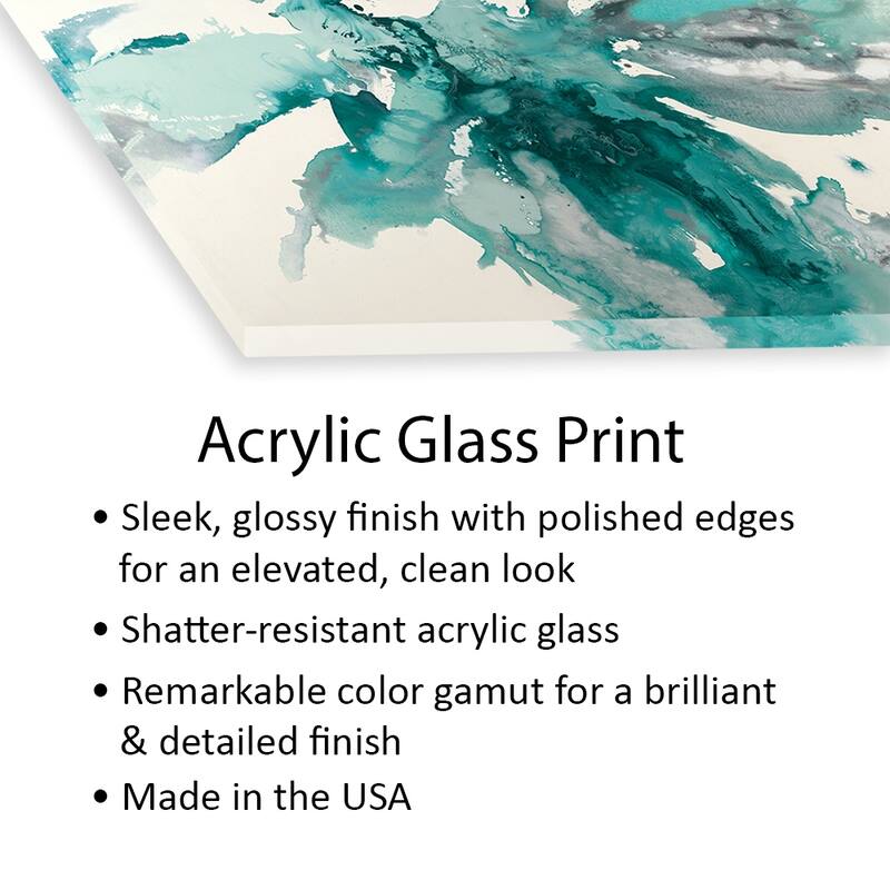 Flower Explosion Print On Acrylic Glass by Randy Hibberd