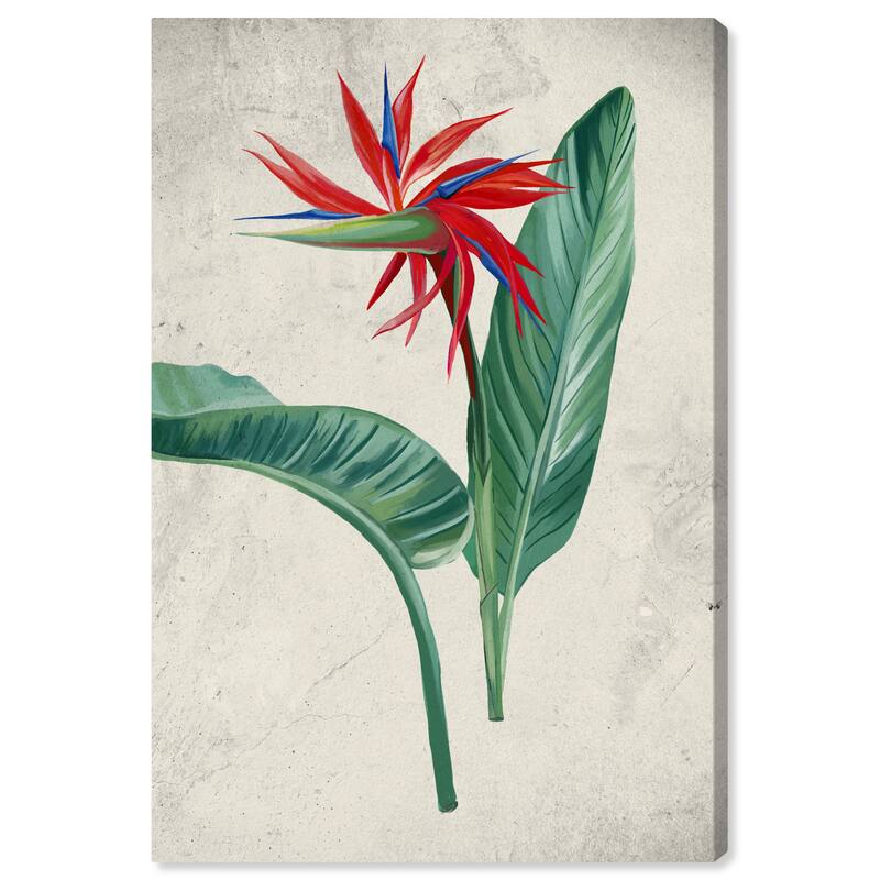 Wynwood Studio Canvas Floral and Botanical Leaves and Floral Green and Traditional Wall Art Canvas Print