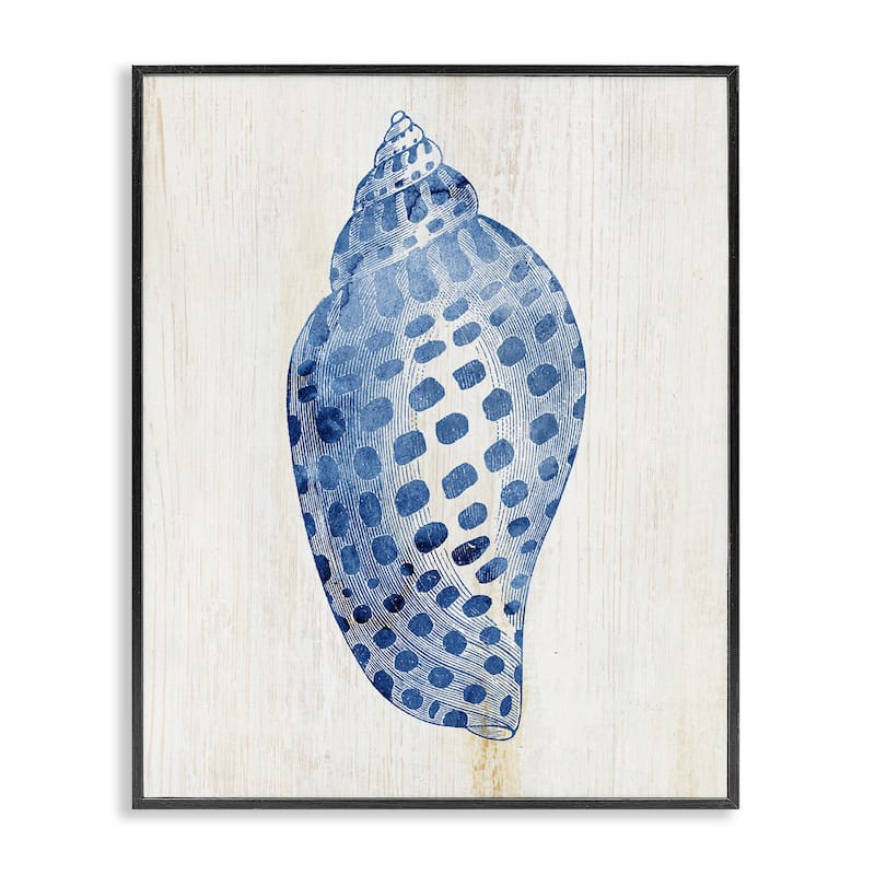 Stupell Spotted Blue Cowrie Shell Framed Giclee Art Design By Susan Arnot - 16 x 20 - Black