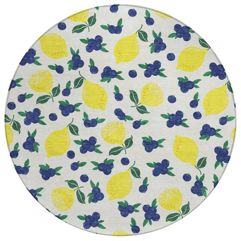 Machine Washable Indoor/ Outdoor Citrus Berry Chantille Rug