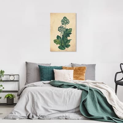 Wynwood Studio Canvas Floral and Botanical Primula Auricula Botanical Green and Dark Purple Traditional Wall Art Canvas Print