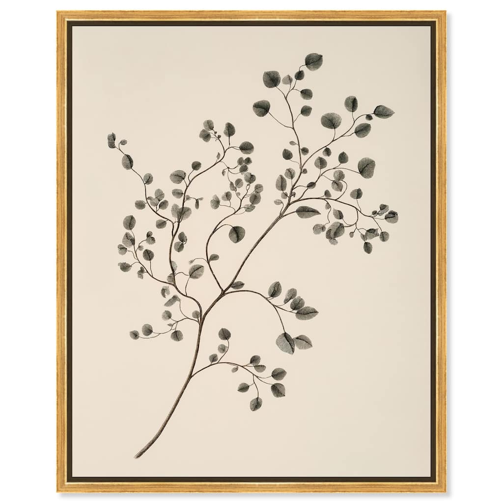 Bilberry Branch Canvas by Art Remedy