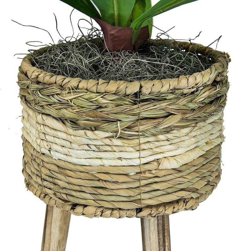 24-inch Artificial Dracaena Plant in Tri-Color Basket Stand
