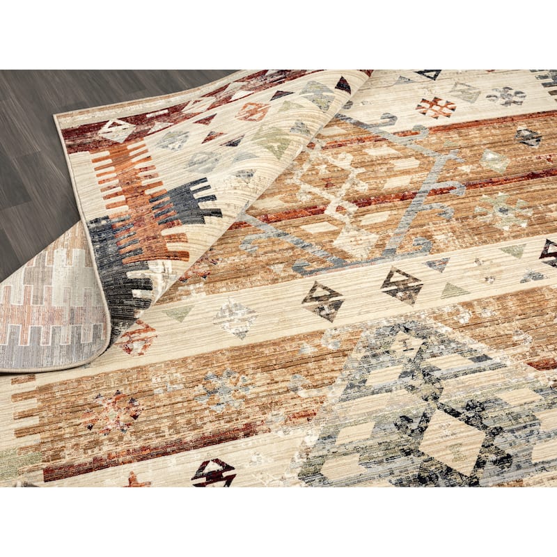 Petra Rustic Earth Tones Area Rug