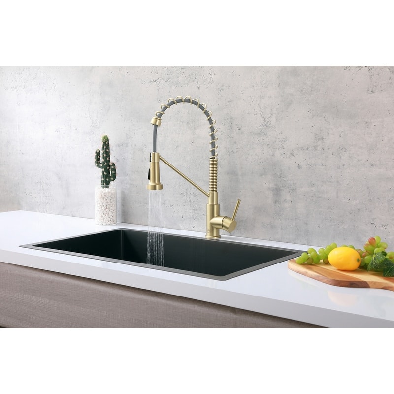 Indigo Home Single Handle Pull Down Sprayer Kitchen Faucet