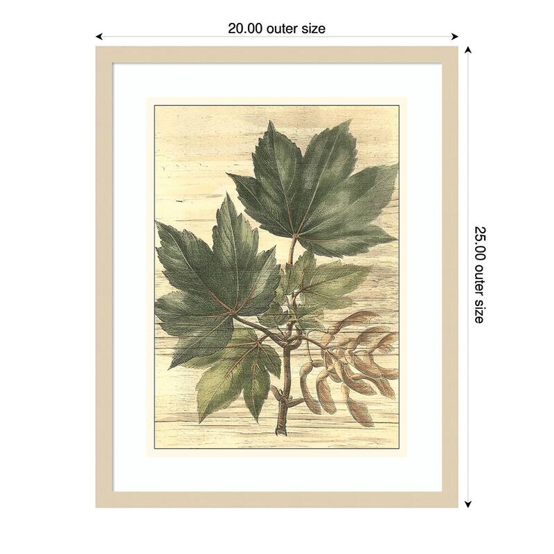 Weathered Maple Leaves No. 2 by Gerard Paul Deshayes Wood Framed Wall Art Print - 20 x 25 in - Brown