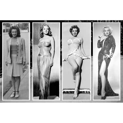 Marilyn Evolution Art Poster - 24 x 36 Inch